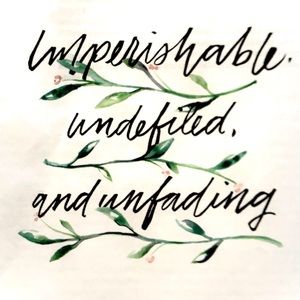 Meet your Posher, Quinn